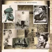 I Can See It in Your Eyes - The Neville Brothers