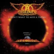 I Don’t Want to Miss a Thing - Aerosmith