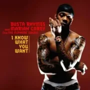 I know what you want - Busta rhymes