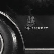 I Like It ft. Nate Smith - Alesso