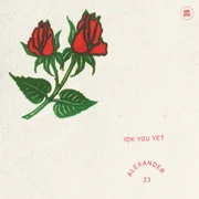 IDK You Yet - Esteban Rojas