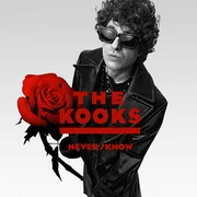 If They Could Only Know - The Kooks