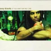 If You Can't Say No - Lenny Kravitz