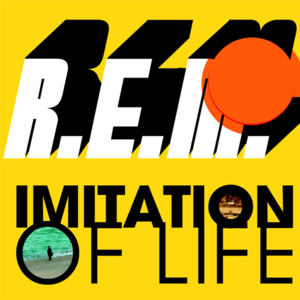 Imitation of life - Rem