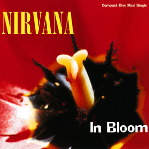 In bloom - Nirvana