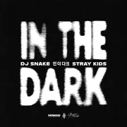 DJ Snake & Stray Kids - In The Dark (Русский перевод) - Dj Snake