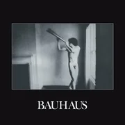 In The Flat Field - Bauhaus