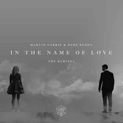 In the Name of Love (DallasK Remix) - Martin Garrix