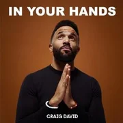 In Your Hands - Craig David