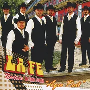 Irresistible - La Fe Norteña