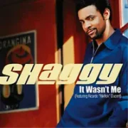 It Wasn't Me - Shaggy