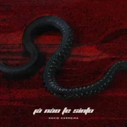 Já Não Te Sinto - David Carreira