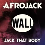 Jack That Body - Afrojack