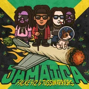 Jamaica - Falke 912
