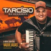 Jogo do Desprezo - Talita Mel