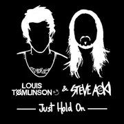 Just Hold On ft. Louis Tomlinson - Steve Aoki