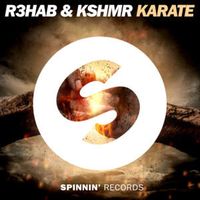 Karate - R3HAB