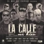 La Calle Me Hizo - Benny Benni