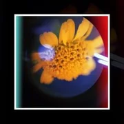 La Canción de Mi Vida - Esperón
