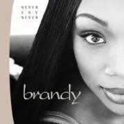 Learn the hard way - Brandy