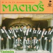 Leña de pirul - Banda Machos