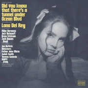Let The Light In ft. Father John Misty - Lana Del Rey
