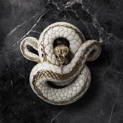 Liar - Jelly Roll