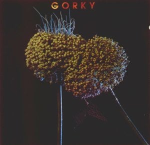 Lieve kleine piranha - Gorki