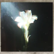 Light That Leads Me - Bebe Rexha