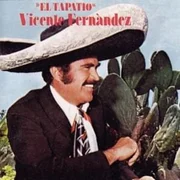 Los dos compadres - Vicente Fernández