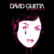 Love Don't Let Me Go - David guetta