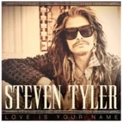 Love Is Your Name - Steven Tyler