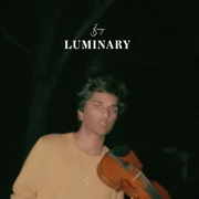 Luminary - Joel Sunny
