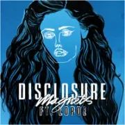 Magnets - Disclosure