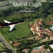 Mar A Lago - Tim Heidecker