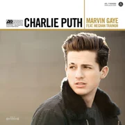 Marvin Gaye ft. Meghan Trainor - Charlie Puth