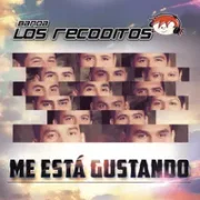 Me Está Gustando - Banda Los Recoditos