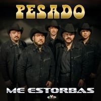 Me Estorbas - Grupo Pesado