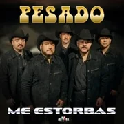 Me Estorbas - Pesado