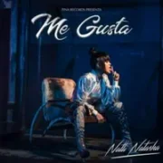 Me Gusta - Natti Natasha