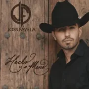 Me Gusta Verte Arrepentida - Joss Favela