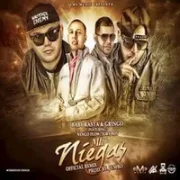 Me Niegas (Remix) - Baby Rasta y Gringo