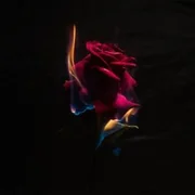 Besta (o teu melhor amigo) ft. NBC (Natural Black Colour) - Mirian Santos