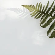 Mente Tranquila ft. Massagem Guru & Música Relajante Piano Master - Relajar