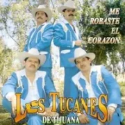 Mi consuelo - Los tucanes de tijuana