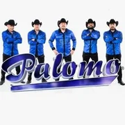 Mi Obsesión - Palomo