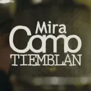 Mira Cómo Tiemblan - Toteking