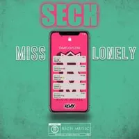 Miss Lonely (Dimelo Flow Remix) - Sech