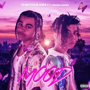 Mood ft. ​iann dior - 24kgoldn