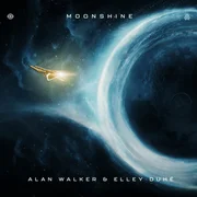 Moonshine - Alan Walker
